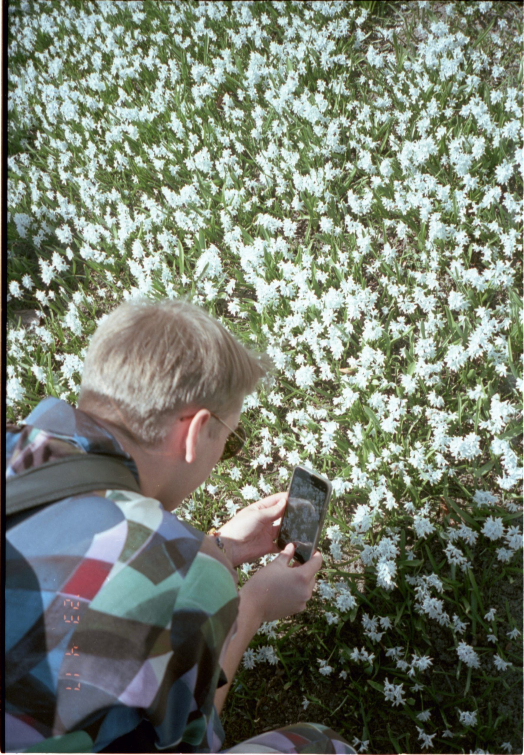 Andreas tar en bild på en blomma med mobilen